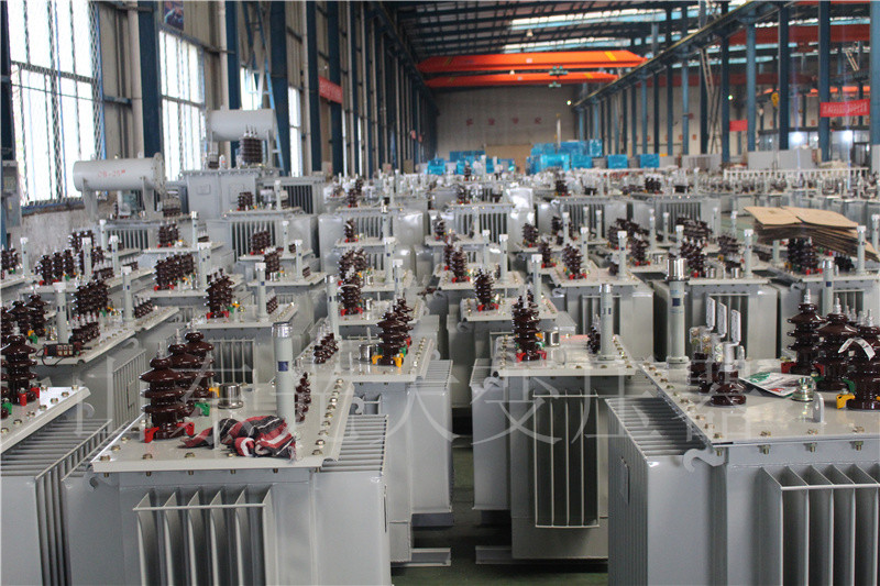 徐水S22-800KVA/10KV